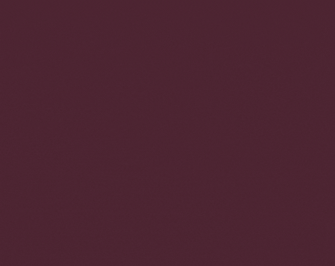 MC_Gif for web (655 x 519 px) (3)